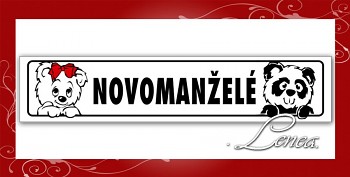 SPZ 12-medvídci-novomanželé